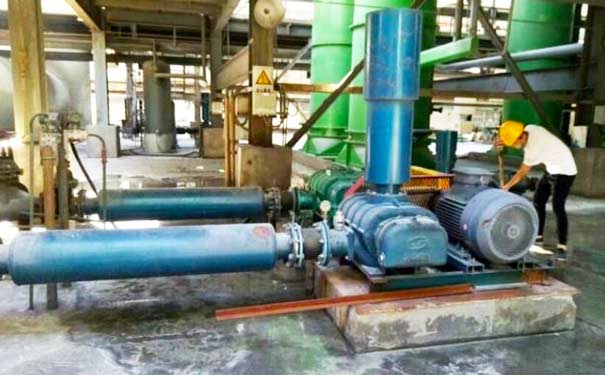 三葉羅茨鼓蜜桃视频网站APP