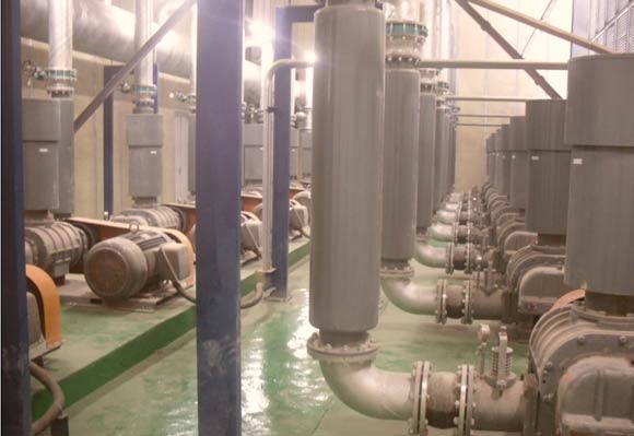 電鍍廠用羅茨蜜桃视频网站APP案例