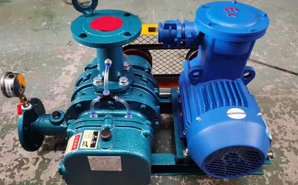 化工行業羅茨鼓蜜桃视频网站APP工廠實拍