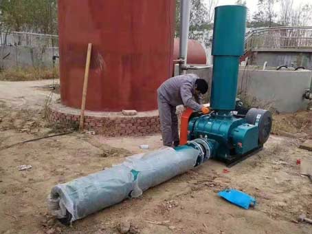 羅茨鼓蜜桃视频网站APP發生故障怎麽解決