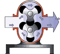 羅茨鼓蜜桃视频网站APP