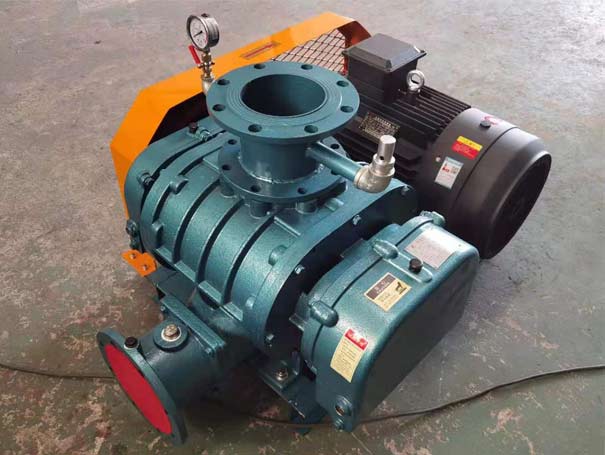 羅茨蜜桃视频网站APP與羅茨真空泵的區別