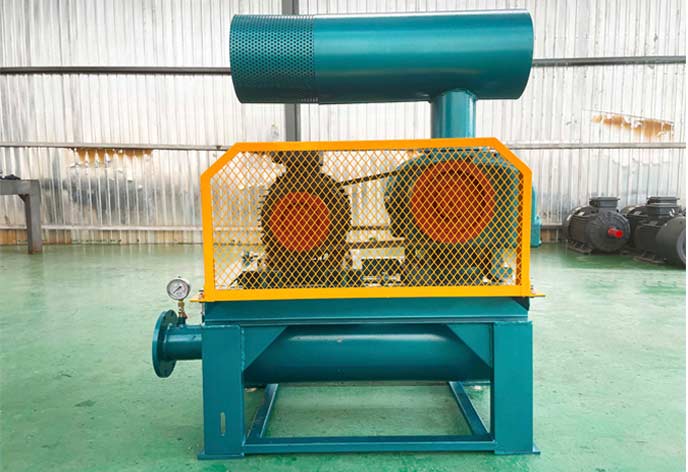 密集型羅茨蜜桃视频网站APP工廠實拍圖