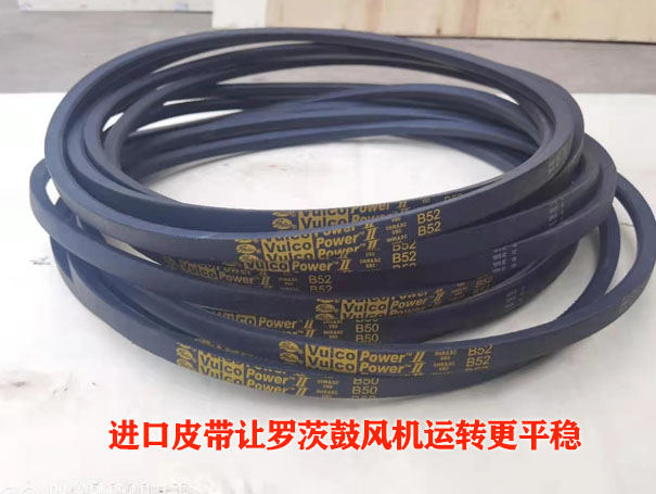 羅茨蜜桃视频网站APP皮帶