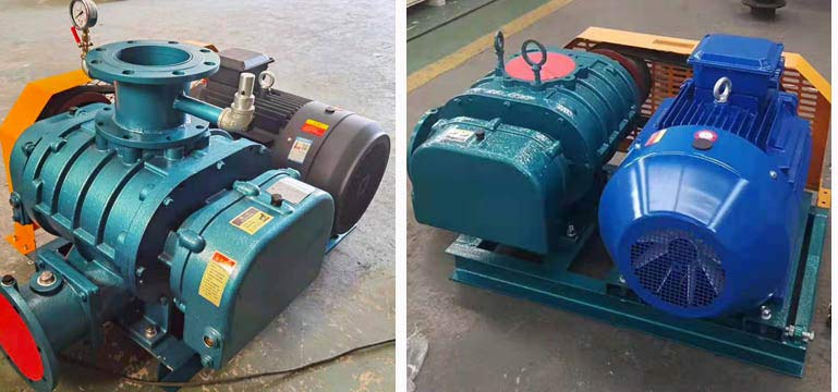 羅茨蜜桃视频网站APP密封形式及特點