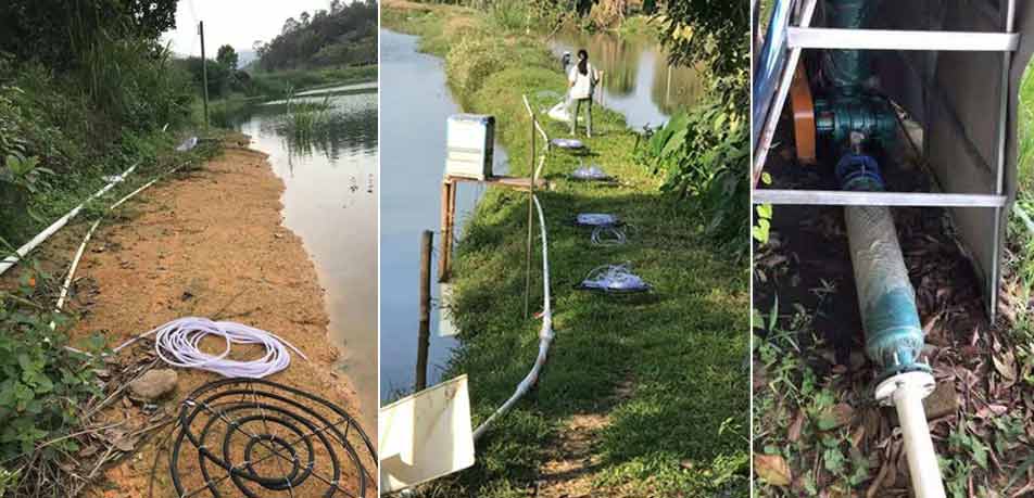 水產養殖羅茨增氧機（羅茨蜜桃视频网站APP）