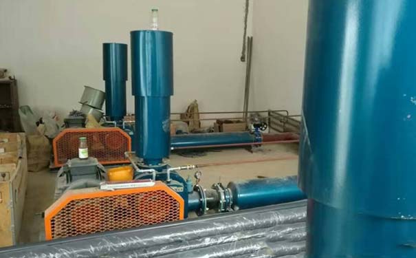 羅茨蜜桃视频网站APP保養