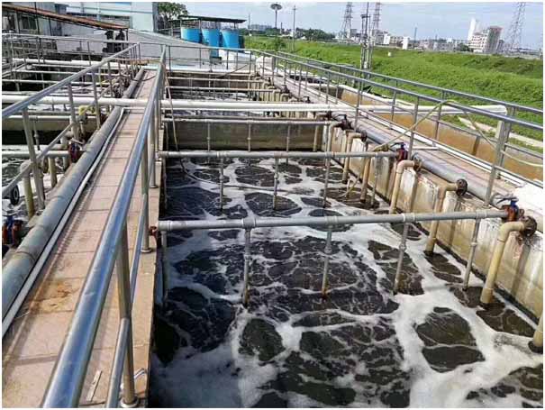 三葉羅茨鼓蜜桃视频网站APP曝氣