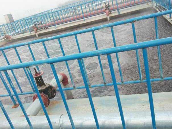 羅茨蜜桃视频网站APP汙水處理案例