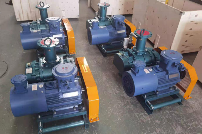 沼氣輸送羅茨蜜桃视频网站APP