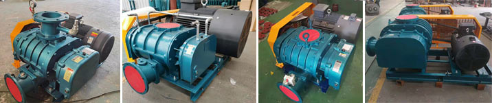 羅茨蜜桃视频网站APP皮帶型