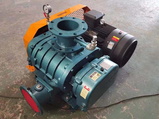 羅茨蜜桃视频网站APP廠家發貨江西羅茨真空泵XQSSR125v5台(圖1)